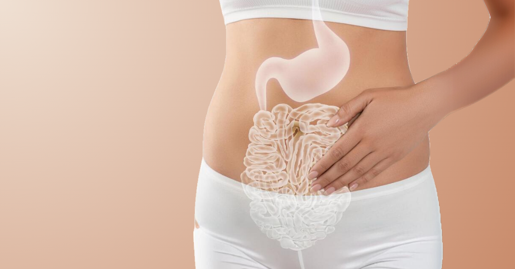 Ένα σώμα και το πεπτικό σύστημα.